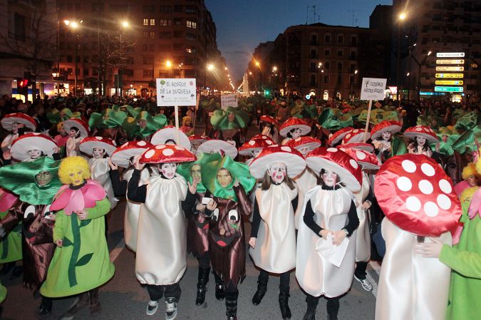 Imgenes del Carnaval  en La Rioja-17